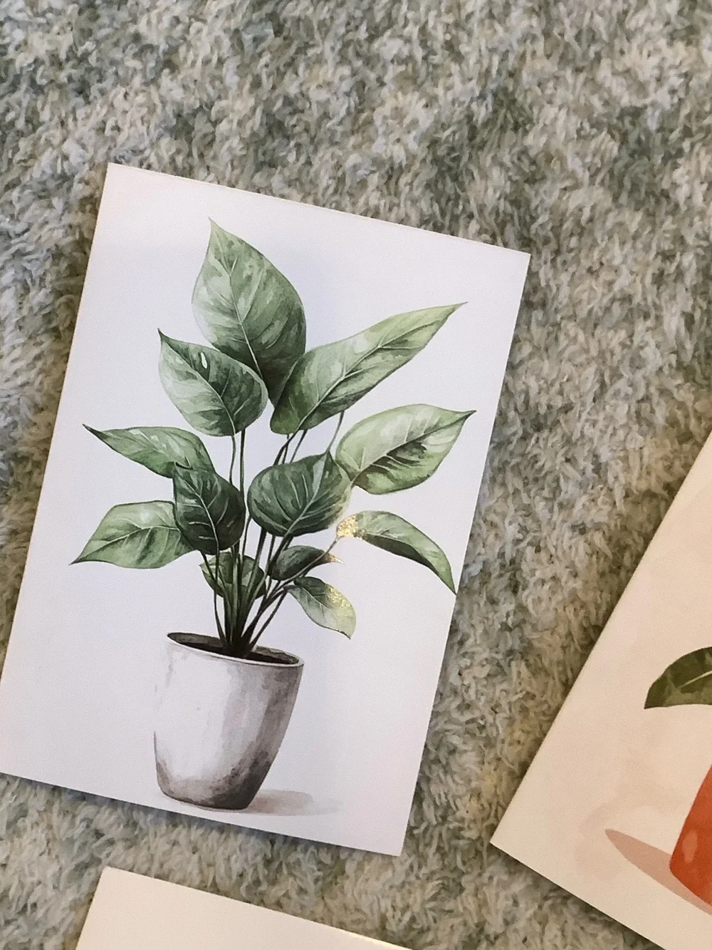 Potted Tropical Plants Note Cards Variety Pack Set of 6 Blank inside NWT HC